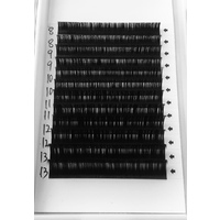 Silk Individual Lashes